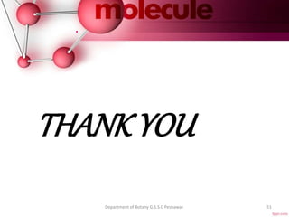 .
THANK YOU
Department of Botany G.S.S.C Peshawar. 51
 