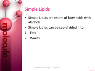 Simple Lipids
• Simple Lipids are esters of fatty acids with
alcohols.
• Simple Lipids can be sub-divided into:
1. Fats
2. Waxes
6Department of Botany G.S.S.C Peshawar.
 