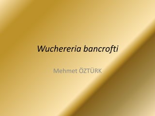 Wuchereria bancrofti

    Mehmet ÖZTÜRK
 