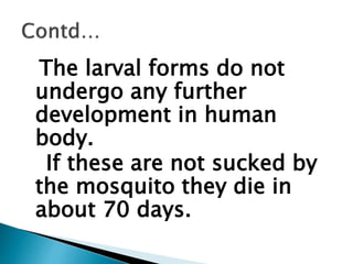 The larval forms do not
undergo any further
development in human
body.
If these are not sucked by
the mosquito they die in
about 70 days.
 