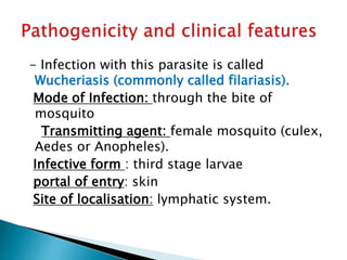 - Infection with this parasite is called
Wucheriasis (commonly called filariasis).
Mode of Infection: through the bite of
mosquito
Transmitting agent: female mosquito (culex,
Aedes or Anopheles).
Infective form : third stage larvae
portal of entry: skin
Site of localisation: lymphatic system.
 