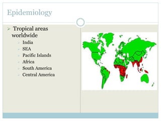 Epidemiology
 Tropical areas
worldwide
 India
 SEA
 Pacific Islands
 Africa
 South America
 Central America
 