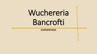 Wuchereria
Bancrofti
ELEPHENTIASIS
 