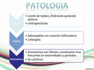 PATOLOGIA