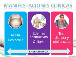 MANIFESTACIONES CLINICASFASE CRÓNICA