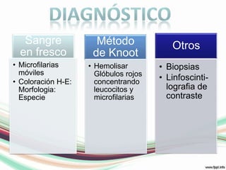 DIAGNÓSTICO