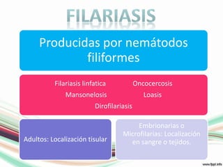 filariasis