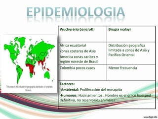 EPIDEMIOLOGIA