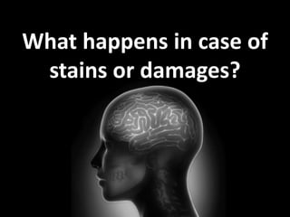 What happens in case of 
stains or damages? 
 
