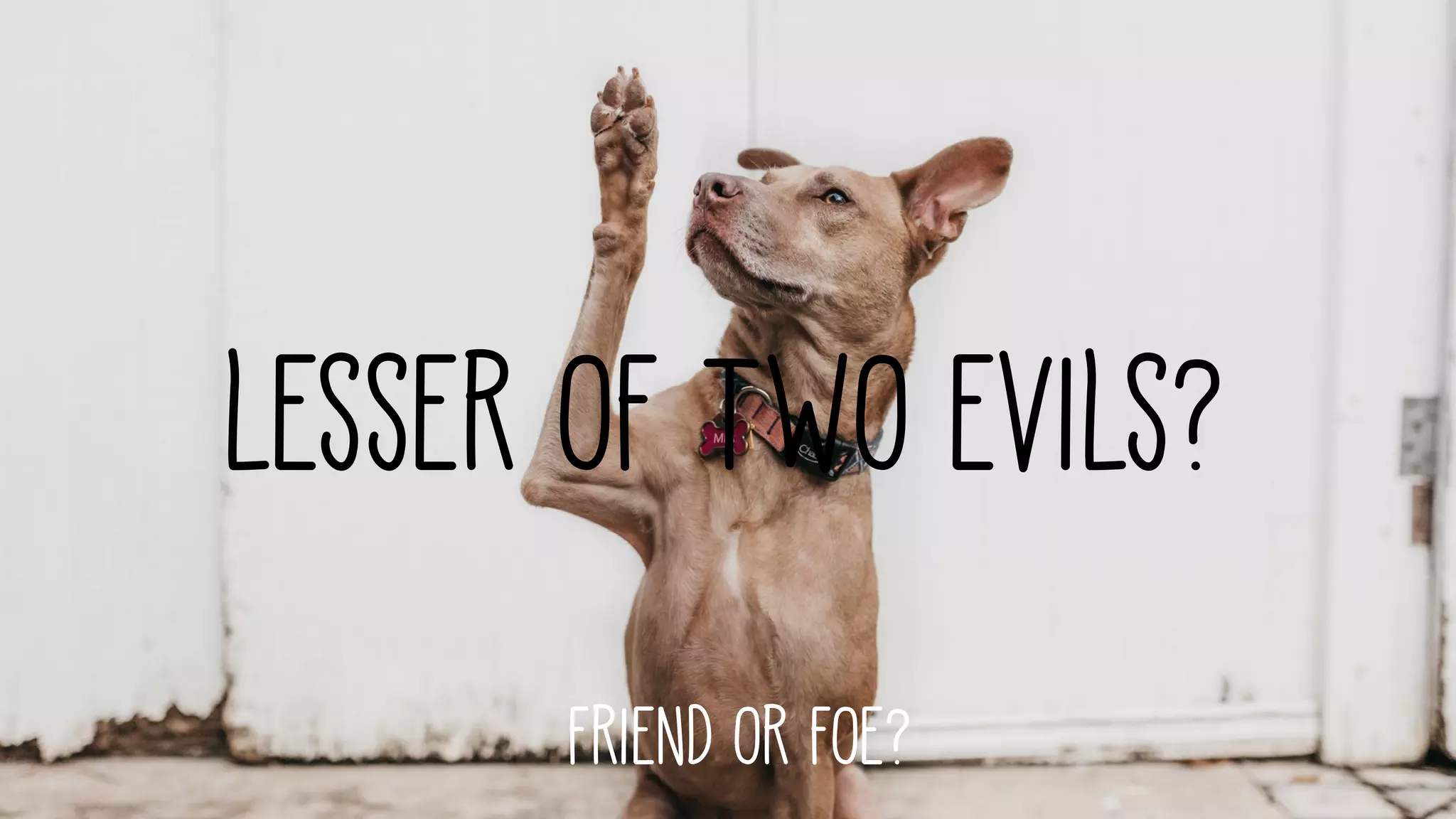 Friend or foe?
Lesser of two evils?
 