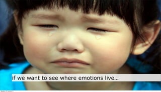 if we want to see where emotions live…

neljapäev, 29. november 12
 