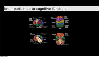 brain parts map to cognitive functions




neljapäev, 29. november 12
 