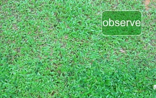 World Usability Day Singapore 2008