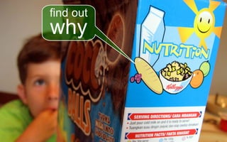 World Usability Day Singapore 2008