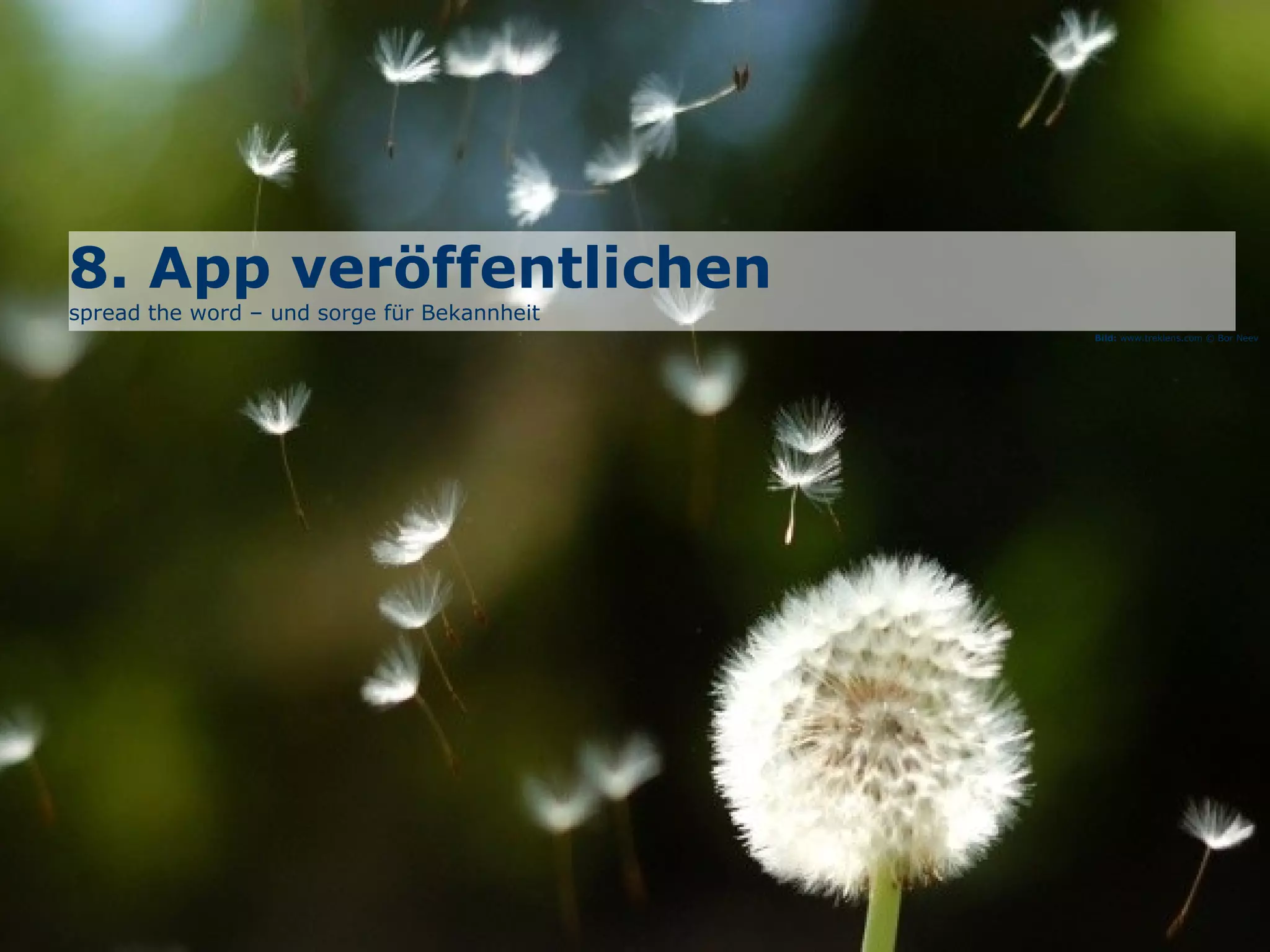 8. App veröffentlichen
spread the word – und sorge für Bekannheit
Bild: www.treklens.com © Bor Neev
 