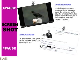 La  vidéo  de  la  semaine  
                                                      
#PAUSE                                              Une  technique  très  maligne  
                                                    pensée  par  les  corbeaux  pour  
                                                    casser  des  noix  et  pouvoir  les  

                                                    oiseaux  fascinants  se  servent  du  
                                                    trafic  routier  et  vous  allez  
                                                                                  


SCREEN
SHOT
                    de  la  semaine  
           
         Le   commentaire               jeune  
         fille  sur  Facebook  qui  en  a  fait  
         sourire  plus             



#PAUSE
 
