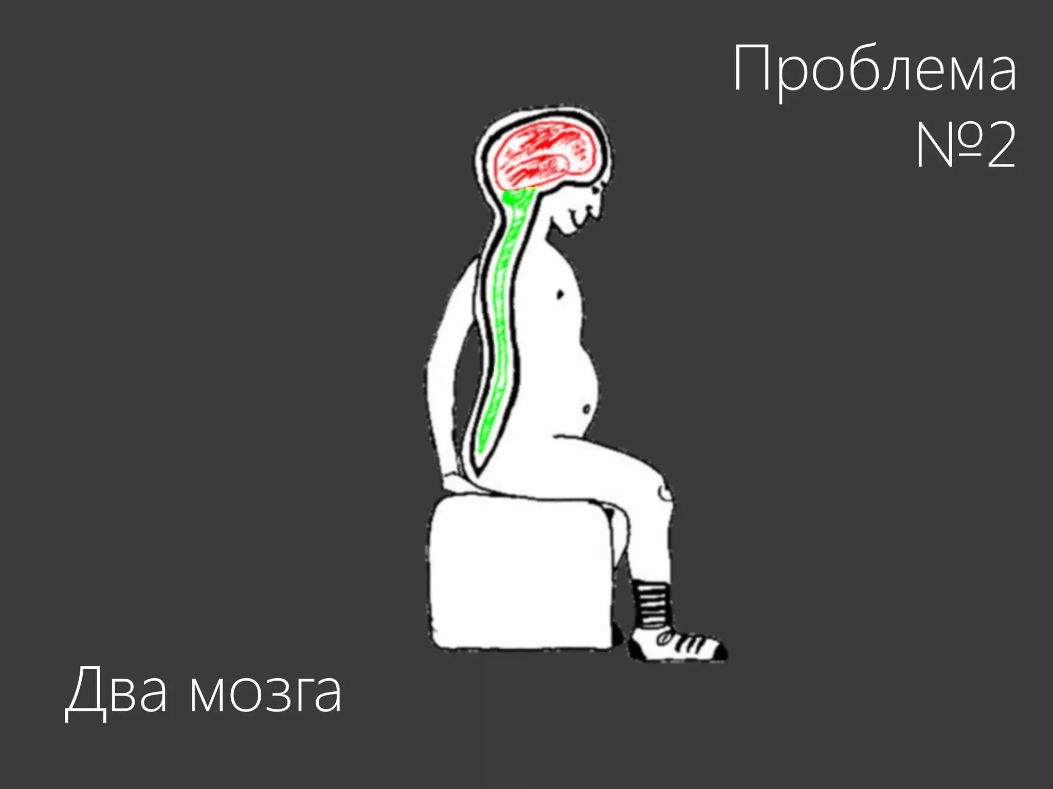 Проблема
                 №2




Два мозга
 
