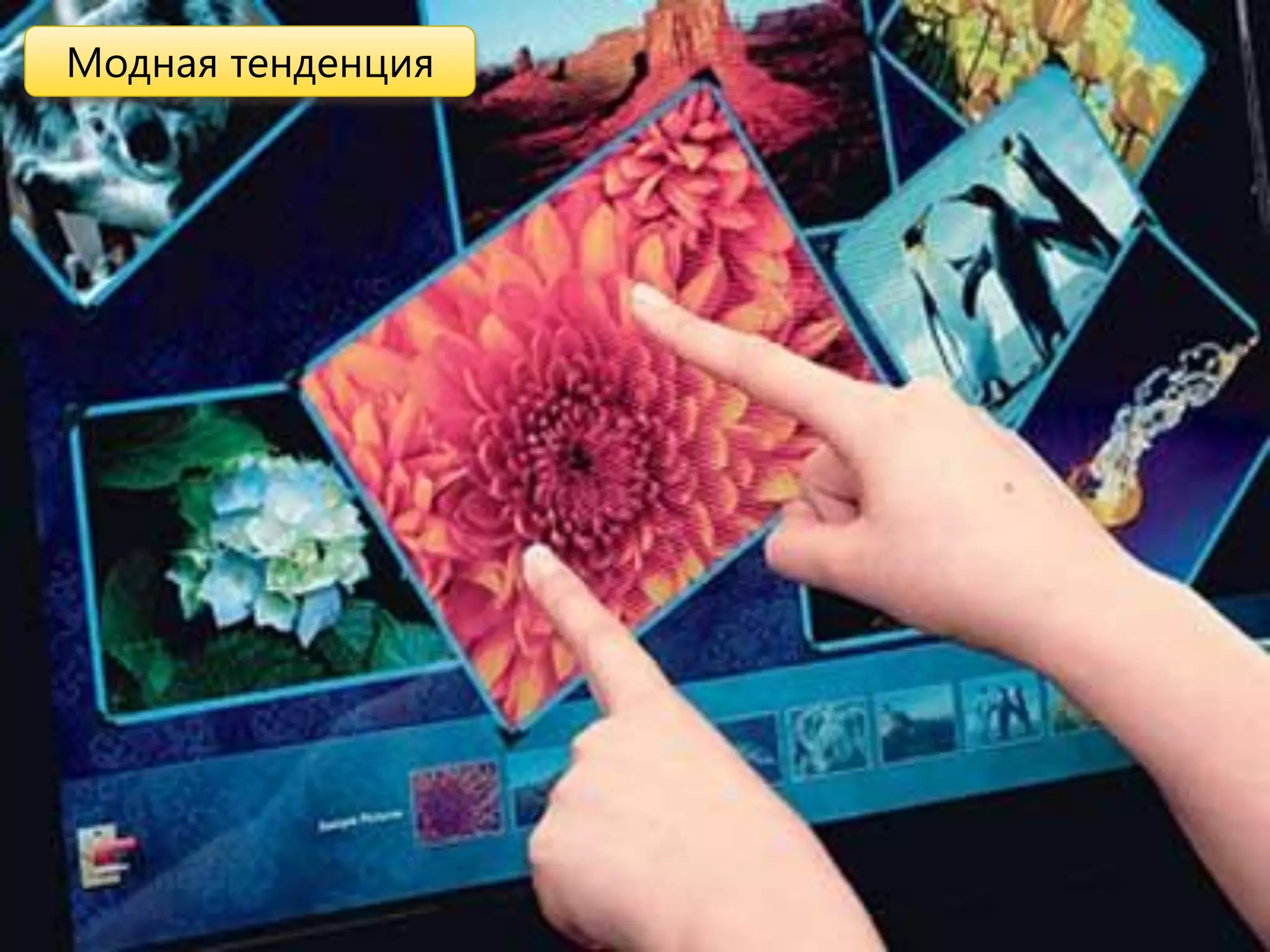 Модная тенденция
 