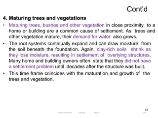 Cont’d
126
47
4. Maturing trees and vegetations
• Maturing trees, bushes and other vegetation in close proximity to a
home or building are a common cause of settlement. As trees and
other vegetation mature, their demand for water also grows.
• The root systems continually expand and can draw moisture from
the soil beneath the foundation. Again, clay-rich soils shrink as
they lose moisture, resulting in settlement of overlying structures.
Many home and building owners often state that they did not have
a settlement problem until decades after the structure was built.
• This time frame coincides with the maturation and growth of the
trees and vegetation.
Wollo University, Ethiopia Elias A.
 