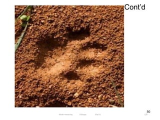 Cont’d
129
50
Wollo University, Ethiopia Elias A.
 