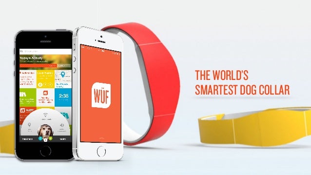 wuf collar