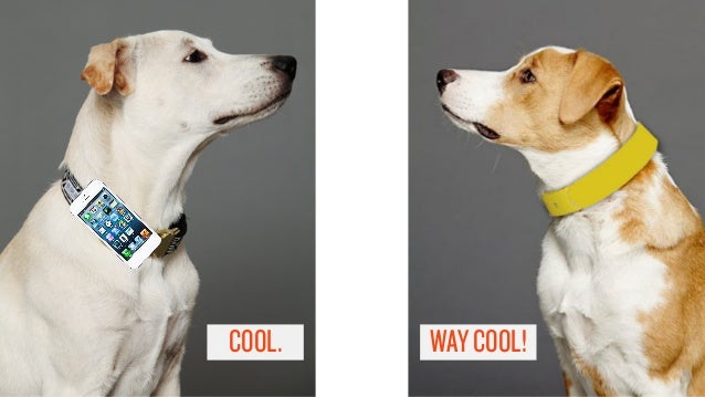 Wuf dog collar Clearance