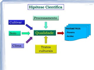 Hipótese Científica
Qualidade
Processamento
Cultivar
Clima
Solo
Tratos
culturais
PARÂMETROS:
- Peneira
- Acidez
-....
 