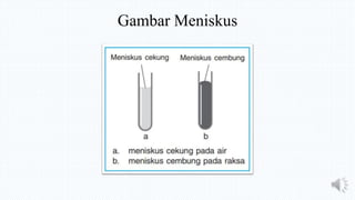 Gambar Meniskus
 