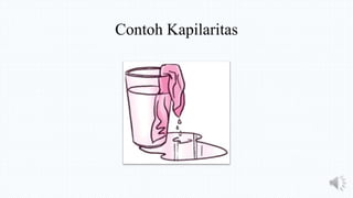 Contoh Kapilaritas
 