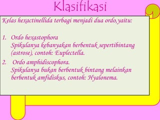 Klasifikasi
Kelas hexactinellida terbagi menjadi dua ordo,yaitu:

1. Ordo hexastophora
   Spikulanya kebanyakan berbentuk sepertibintang
   (astrose), contoh: Euplectella.
2. Ordo amphidiscophora.
   Spikulanya bukan berbentuk bintang melainkan
   berbentuk amfidiskus, contoh: Hyalonema.
 