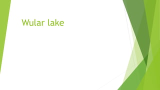 Wular lake
 