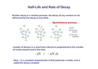 Nuclear decay is a random process; the decay of any nucleus is not
influenced by the decay of any other.
Half-Life and Rate of Decay
number of decays in a short time interval is proportional to the number
of nuclei present and to the time:
Here, λ is a constant characteristic of that particular nuclide, and is
called the decay constant.
Spontaneous process
 