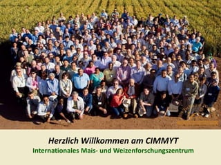 Herzlich Willkommen am CIMMYT Internationales Mais- und Weizenforschungszentrum 