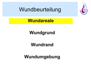Wundbeurteilung
Wundareale
Wundgrund
Wundrand
Wundumgebung
 