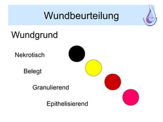 Wundbeurteilung
Wundgrund
Nekrotisch
Belegt
Granulierend
Epithelisierend
 