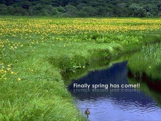 Finally spring has come!! 
