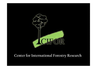Center for International Forestry Research
 