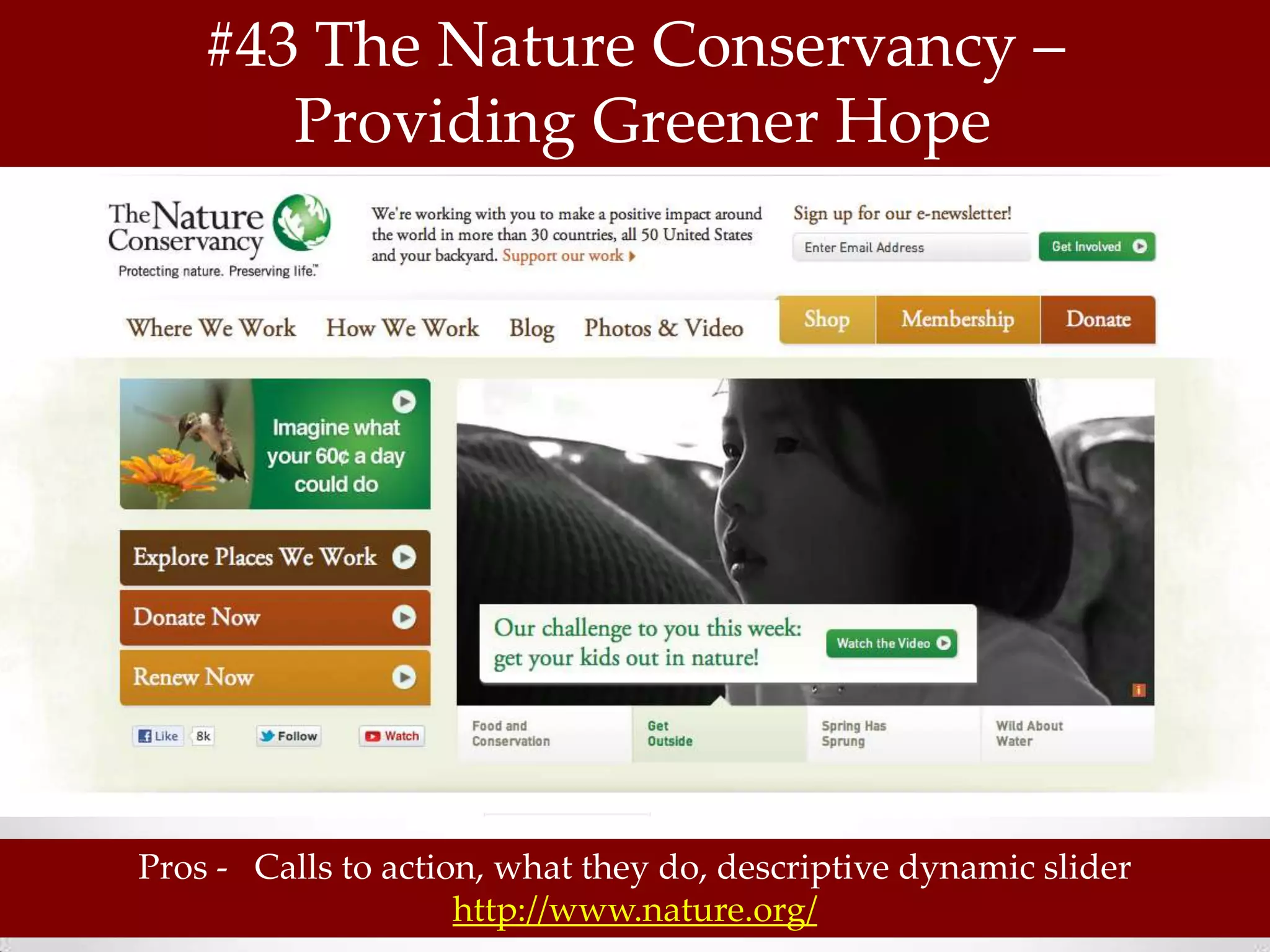 #43 The Nature Conservancy –
       Providing Greener Hope




Pros - Calls to action, what they do, descriptive dynamic slider
                     http://www.nature.org/
 