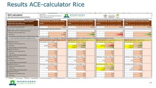 Results ACE-calculator Rice
15
 