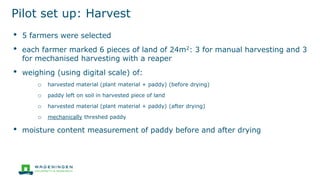 Pilot set up: Harvest
• 5 farmers were selected
• each farmer marked 6 pieces of land of 24m2: 3 for manual harvesting and 3
for mechanised harvesting with a reaper
• weighing (using digital scale) of:
o harvested material (plant material + paddy) (before drying)
o paddy left on soil in harvested piece of land
o harvested material (plant material + paddy) (after drying)
o mechanically threshed paddy
• moisture content measurement of paddy before and after drying
 