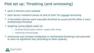 Pilot set up: Threshing (and winnowing)
• same 5 farmers were selected
• each farmer marked 6 pieces of land of 24m2 for manual harvesting
• 3 harvested volumes were manually threshed as usual and the other 3 were
mechanically threshed
• weighing (using digital scale) of:
o harvested material (plant material + paddy) (after drying)
o mechanically threshed paddy
• winnowing was included (integrated in mechanised threshing) and assumed
to have no significant loss (according to Olam experts)
 