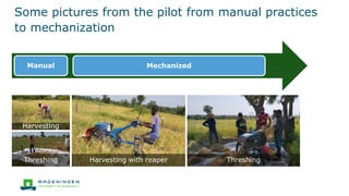 The impact of mechanization in smallholder rice production in Nigeria