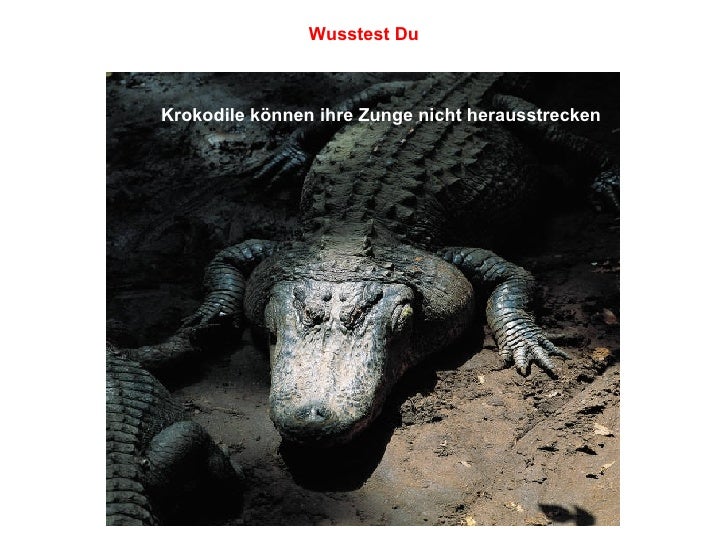 Edates 24 kostenlos