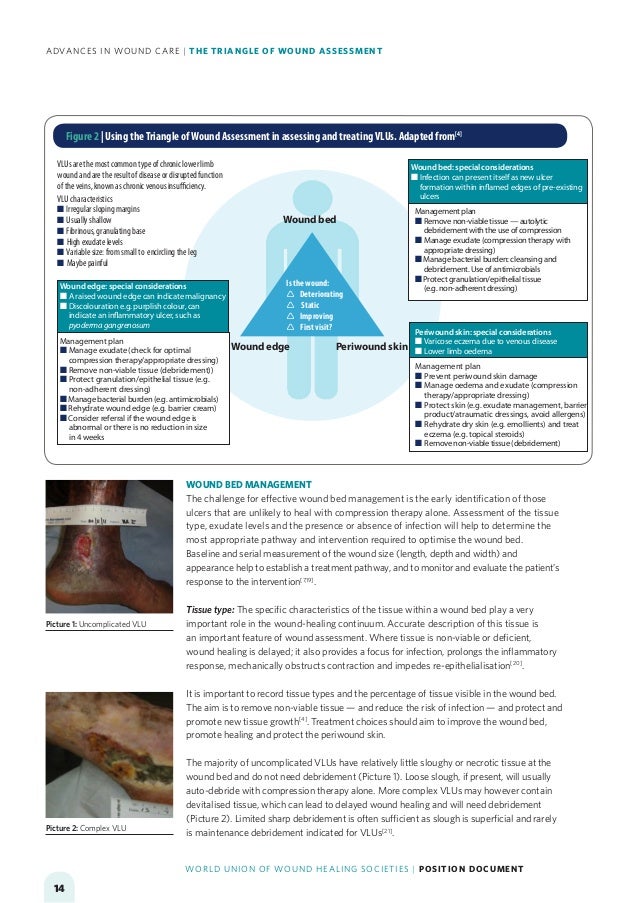 ADVANCES IN WOUND CARE THE TRIANGLE OF WOUND ASSESSMENT