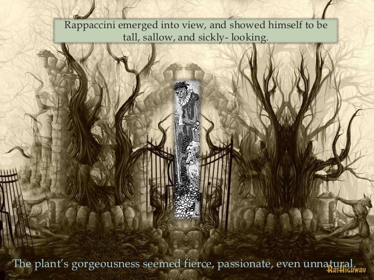 Rappaccini’s daughter