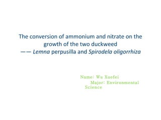 The conversion of ammonium and nitrate on the growth of the two duckweed ——  Lemna  perpusilla   and  Spirodela oligorrhiza Name: Wu Xuefei Major: Environmental Science 