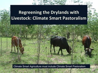 Regreening the Drylands with
Livestock: Climate Smart Pastoralism




 Climate Smart Agriculture must include Climate Smart Pastoralism
 