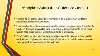 Principios Básicos de la Cadena de Custodia
• Control de las etapas desde la recolección o de la evidencia y de bienes
incautados hasta su destino final.
• Seguridad de la evidencia así como de los bienes incautados con el empleo de
medios y técnicas adecuadas para la custodia y almacenamiento en un lugar
seguro para evitar daños o contaminación de la evidencia.
• Preservación de la evidencia para garantizar que este intacto, y poder evitar
confusiones o daño de su estado original, así como un indebido tratamiento o
incorrecto almacenamiento de la evidencia.
12
 