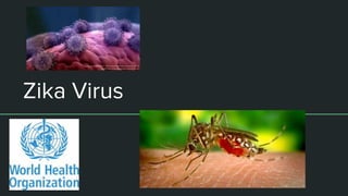 Zika Virus
 