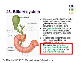 ANATOMY SHELF NOTES PRESENTATION MADE EASY | PDF